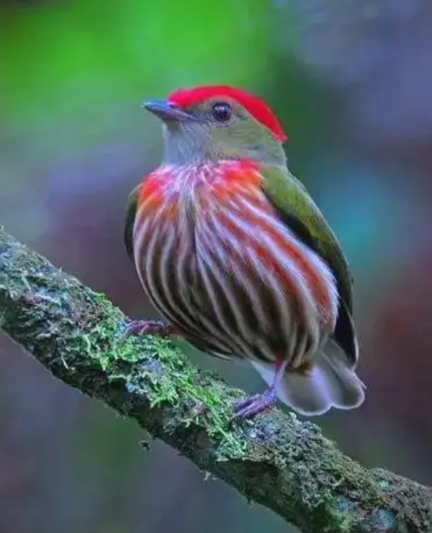 eb7027e554afe942b28793b6862aae5f.png eb7027e554afe942b28793b6862aae5f.png